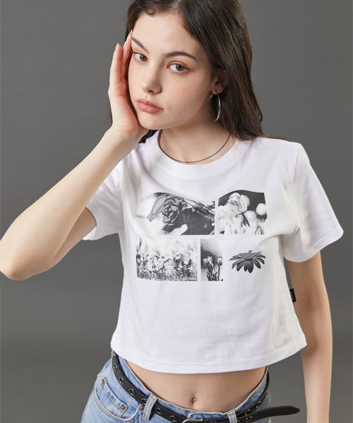 WOMEN 크롭 흑백 플라워 그래픽 반팔티 [WHITE]